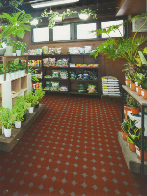 Oxley 100 Dark Red + Dark Grey dots Oxley 100 Dark Red + Dark Grey dots